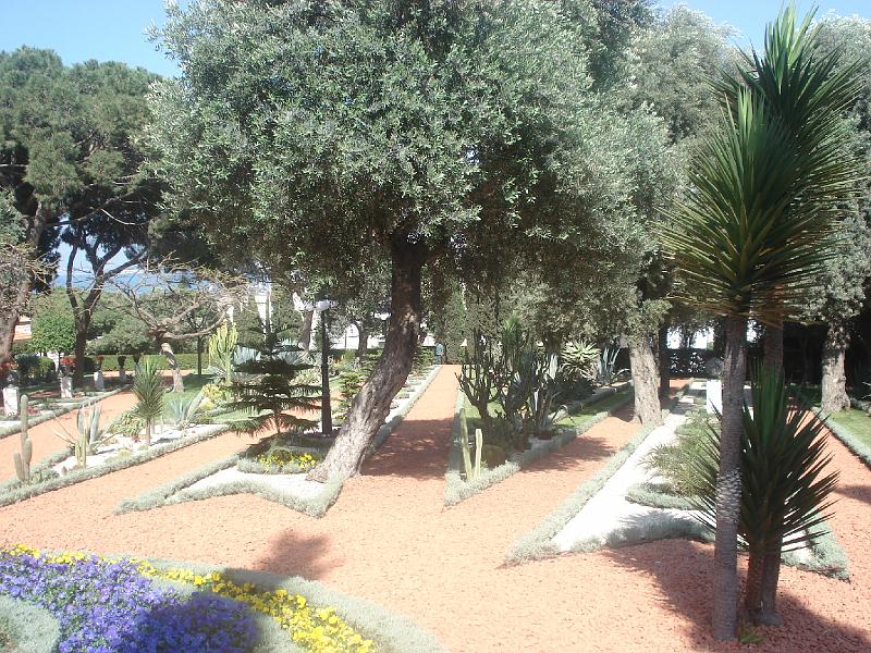 Haifa 30 - Bahai'i Gardens